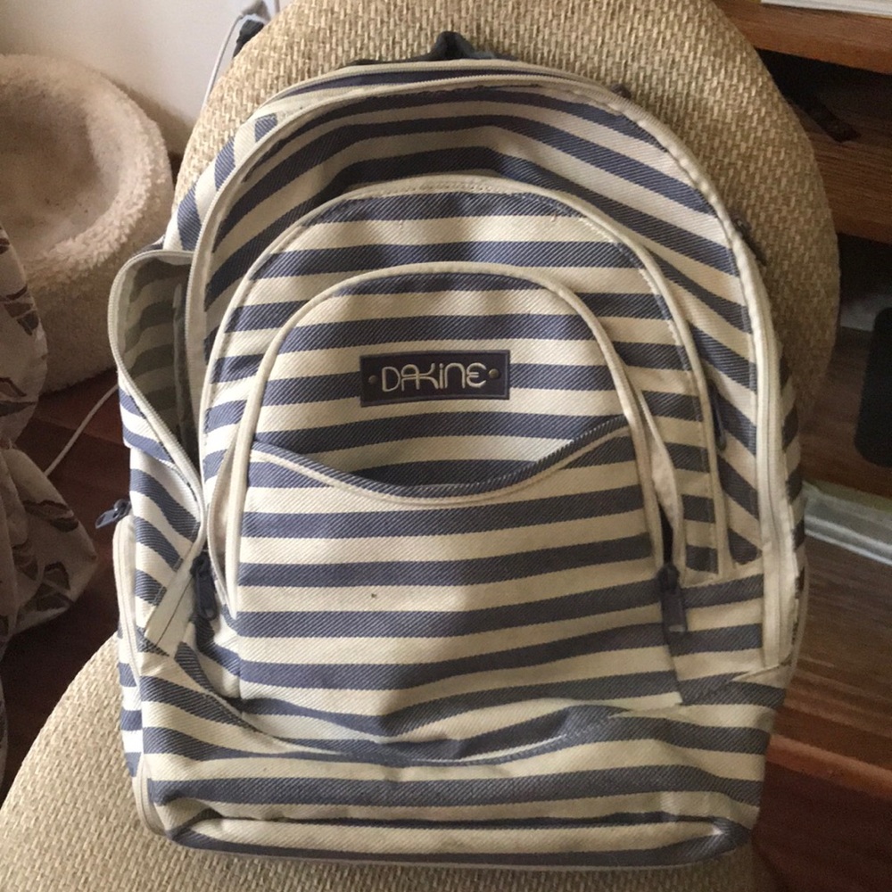 Dakine Backpack with Daisy Lining